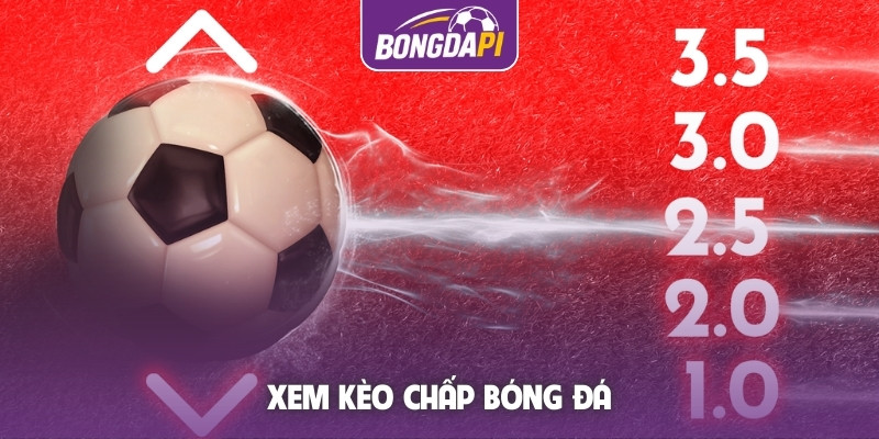 Xem kèo chấp bóng đá